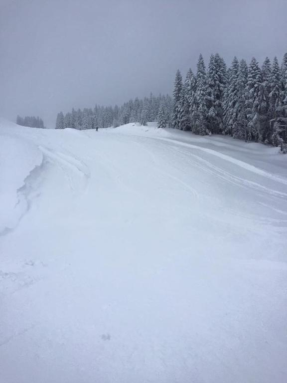 Ilgaz Derbent Hotel エクステリア 写真