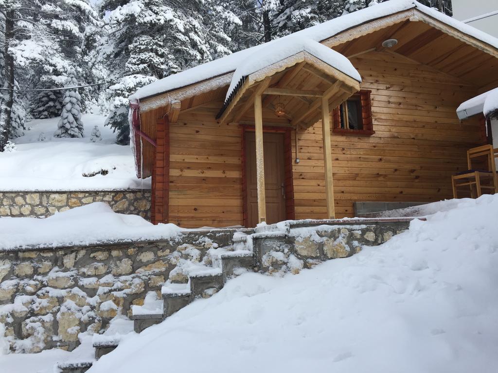 Ilgaz Derbent Hotel 部屋 写真
