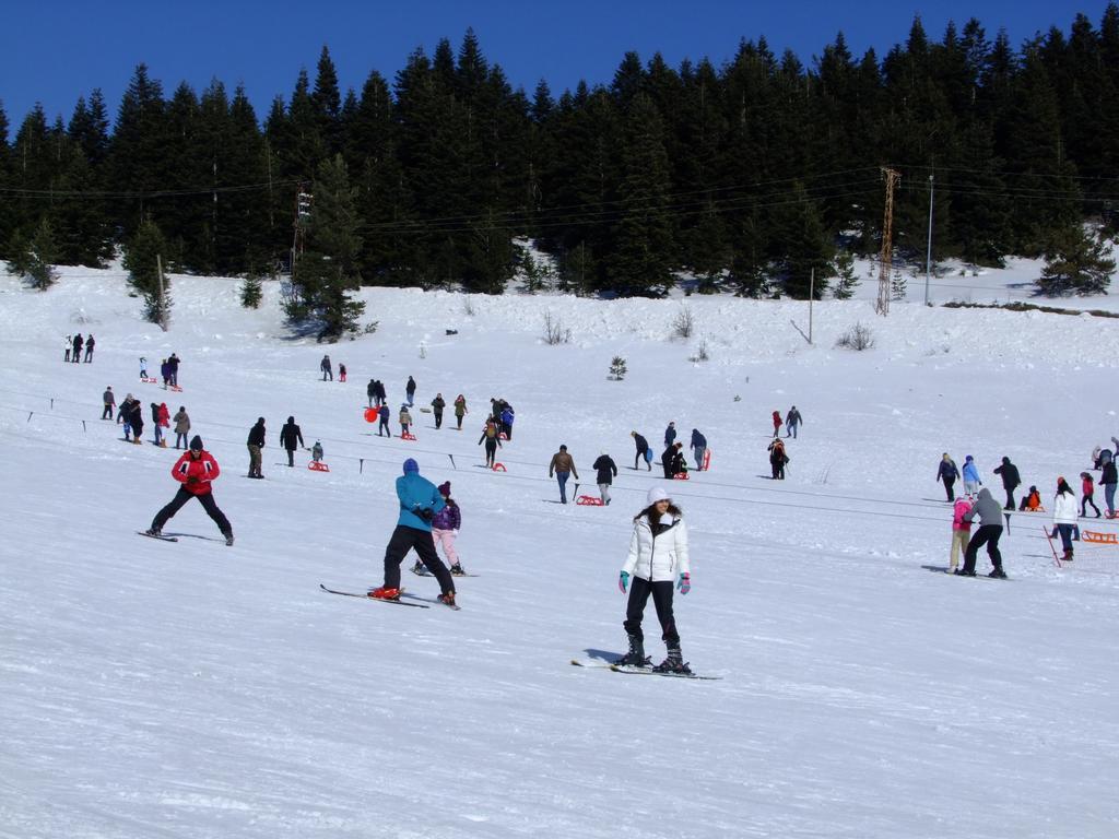 Ilgaz Derbent Hotel エクステリア 写真